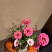 ヒメ日記 2025/11/07 11:58 投稿 杏 PLUS十三店