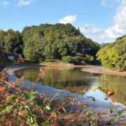 ヒメ日記 2025/11/07 14:29 投稿 杏 PLUS十三店