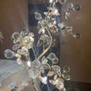 ヒメ日記 2025/11/12 14:08 投稿 杏 PLUS十三店