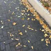 ヒメ日記 2025/11/24 13:29 投稿 杏 PLUS十三店