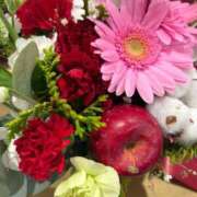 ヒメ日記 2025/12/27 15:28 投稿 杏 PLUS十三店