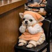 ヒメ日記 2025/12/28 11:18 投稿 杏 PLUS十三店