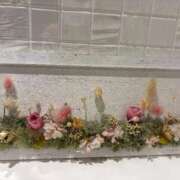 ヒメ日記 2025/12/28 15:18 投稿 杏 PLUS十三店