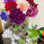 ヒメ日記 2025/12/29 07:18 投稿 杏 PLUS十三店