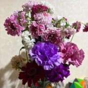 ヒメ日記 2026/01/24 14:11 投稿 杏 PLUS十三店