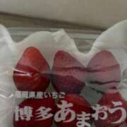 ヒメ日記 2026/01/28 20:28 投稿 杏 PLUS十三店