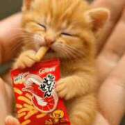 ヒメ日記 2026/01/31 19:40 投稿 杏 PLUS十三店