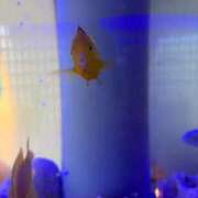 ヒメ日記 2026/02/10 10:18 投稿 杏 PLUS十三店