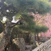 ヒメ日記 2026/02/23 11:38 投稿 杏 PLUS十三店