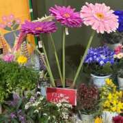 ヒメ日記 2026/03/04 12:58 投稿 杏 PLUS十三店