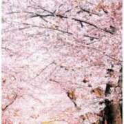 ヒメ日記 2026/03/13 16:28 投稿 杏 PLUS十三店