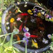 杏 発見✨ PLUS十三店