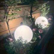 ヒメ日記 2026/06/12 11:38 投稿 杏 PLUS十三店