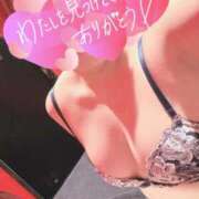 カルア お休みになりました🙇‍♀️ バニーコレクション秋田店