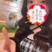 ヒメ日記 2025/10/29 14:55 投稿 ゆね ドリーム水戸