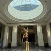 ヒメ日記 2025/08/08 08:10 投稿 ぬぴ New Sky