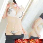 ヒメ日記 2025/11/24 09:04 投稿 エル秘書 秘書の品格 クラブアッシュ ヴァリエ