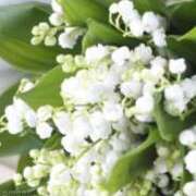 ヒメ日記 2025/12/01 13:30 投稿 水野さき 三丁目の奥様（東京ハレ系）