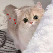 ヒメ日記 2026/02/15 11:18 投稿 まいか 治療院.LOVE小山店