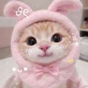 ヒメ日記 2026/02/17 12:18 投稿 まいか 治療院.LOVE小山店