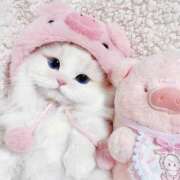 ヒメ日記 2026/02/28 19:57 投稿 まいか 治療院.LOVE小山店