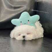 まいか 今日も1日お疲れさまでした⭐︎ 治療院.LOVE小山店