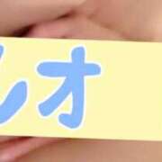 ヒメ日記 2025/08/11 10:02 投稿 道重レオ 奴隷志願！変態調教飼育クラブ梅田店