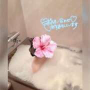 ヒメ日記 2025/09/24 03:22 投稿 道重レオ 奴隷志願！変態調教飼育クラブ梅田店