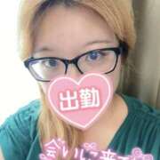 ヒメ日記 2025/08/16 11:28 投稿 まほ 千葉柏ちゃんこ