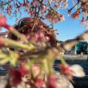 ヒメ日記 2026/04/02 17:31 投稿 まほ 千葉柏ちゃんこ