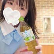 ヒメ日記 2025/06/29 02:32 投稿 海野　あおい メイドin西川口（埼玉ハレ系）