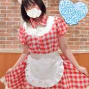 ヒメ日記 2025/10/17 01:40 投稿 海野　あおい メイドin西川口（埼玉ハレ系）