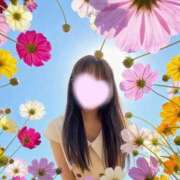 ヒメ日記 2026/03/14 12:53 投稿 あおい 府中ダービー