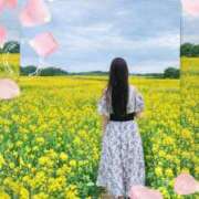 ヒメ日記 2026/03/17 07:43 投稿 あおい 府中ダービー