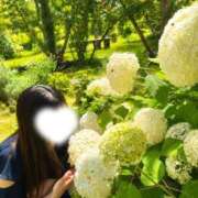 ヒメ日記 2026/07/11 09:28 投稿 あおい 府中ダービー