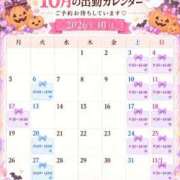 ヒメ日記 2026/09/26 17:46 投稿 あおい 府中ダービー
