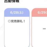 ヒメ日記 2025/06/28 21:18 投稿 ひな【フェラご褒美の痴女】 STELLA TOKYO－ステラトウキョウ－