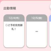 ヒメ日記 2025/12/04 12:16 投稿 ひな【フェラご褒美の痴女】 STELLA TOKYO－ステラトウキョウ－
