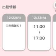 ヒメ日記 2025/12/22 12:52 投稿 ひな【フェラご褒美の痴女】 STELLA TOKYO－ステラトウキョウ－