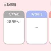 ヒメ日記 2026/03/27 17:35 投稿 ひな【フェラご褒美の痴女】 STELLA TOKYO－ステラトウキョウ－