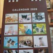 ヒメ日記 2025/12/31 19:47 投稿 こより 完熟ばなな 立川