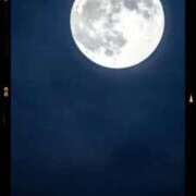 ヒメ日記 2026/02/01 22:07 投稿 こより 完熟ばなな 立川