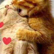 ヒメ日記 2026/04/04 00:07 投稿 こより 完熟ばなな 立川