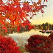 ヒメ日記 2025/11/16 22:12 投稿 ひな エマニエル