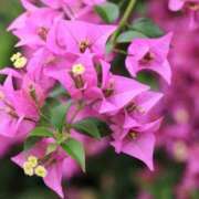 ミキ お疲れ様です🤗 おふくろさんYO!!町田店