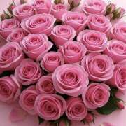 ミキ お疲れ様です😊 おふくろさんYO!!町田店