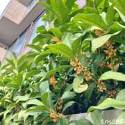 ヒメ日記 2025/10/20 09:43 投稿 あまね おふくろさんYO!!町田店