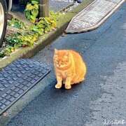 ヒメ日記 2025/11/13 11:43 投稿 あまね おふくろさんYO!!町田店