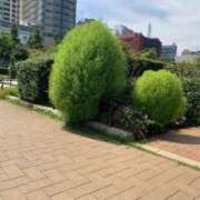 ヒメ日記 2025/09/06 15:03 投稿 りえこ おふくろさんYO!!町田店