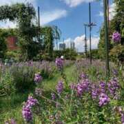 ヒメ日記 2025/09/06 17:03 投稿 りえこ おふくろさんYO!!町田店